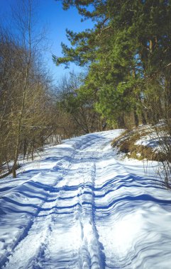 Güzel kış manzarası
