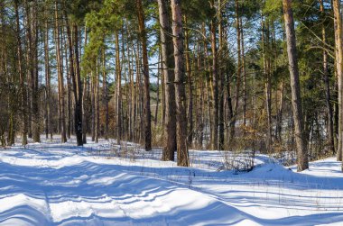 Güzel kış manzarası
