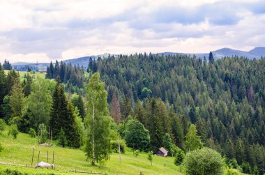 Karpat Dağları ve dağ vadiler