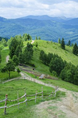 Carpathian mountains and mountain valleys clipart