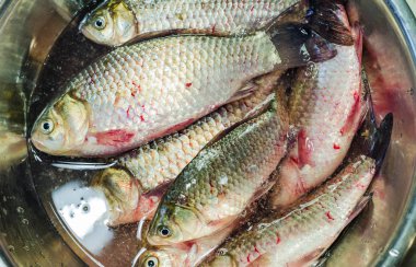 Bir kasede taze çiğ kırmızı haç