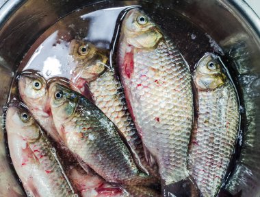 Bir kasede taze çiğ kırmızı haç