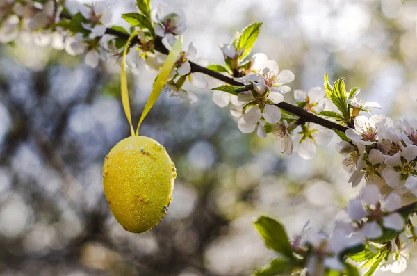 Decorative easter eggs on a flowering tree