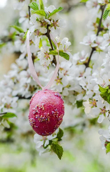 Oeufs Pâques Décoratifs Sur Arbre Fleurs — Photo