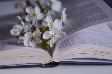 Masanın üzerinde kiraz ağacının çiçek açtığı kitabı aç