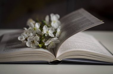 Masanın üzerinde kiraz ağacının çiçek açtığı kitabı aç
