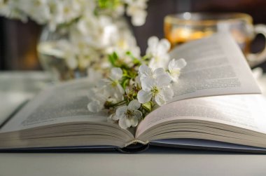 Masanın üzerinde kiraz ağacının çiçek açtığı kitabı aç