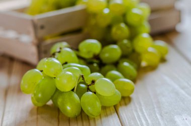 Yeşil arka planda olgun beyaz üzümler