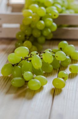 Yeşil arka planda olgun beyaz üzümler