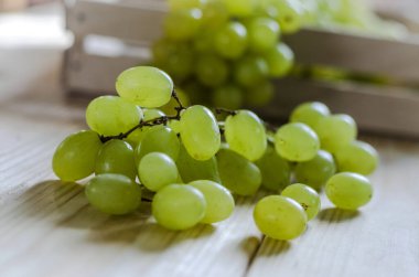 Yeşil arka planda olgun beyaz üzümler