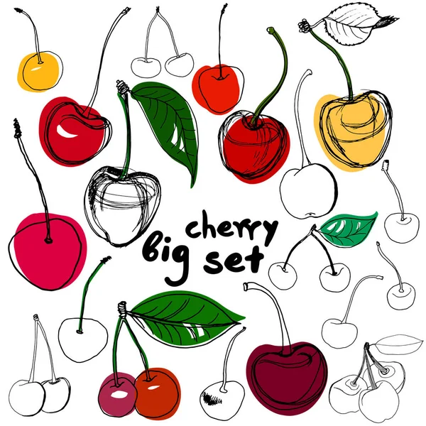 Stor uppsättning skissade cherry — Stockfoto
