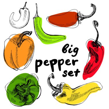 Çizilmiş biber. Büyük bir çift el çizimi biber.