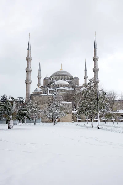 蓝色清真寺在冬季 — 图库照片