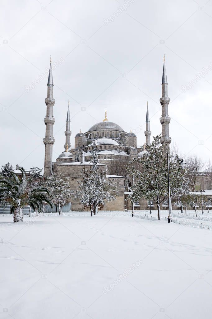 Blue mosque in winter