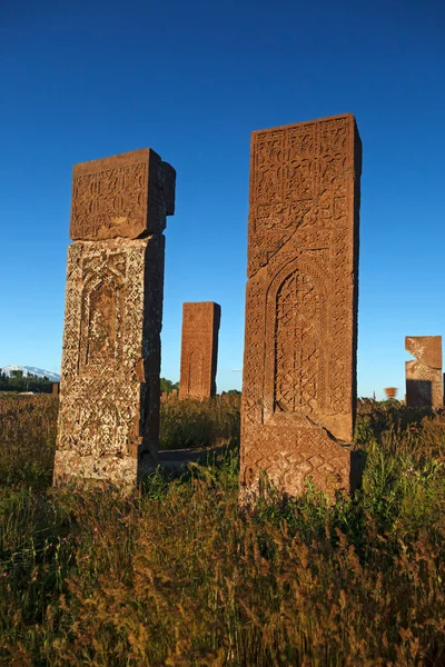 Tombeau Cimetière Ahlat Ahlat Citadelle Urartienne Ottomane Turquie — Photo