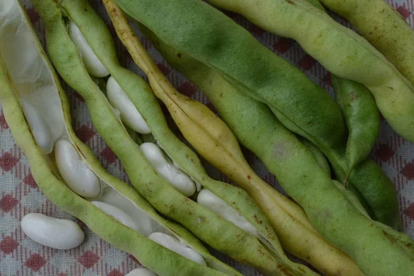インゲンマメ 豆の種 マメ科植物 レシピ テーブル クロス 前に調理 おいしい 便利です クローズ — ストック写真