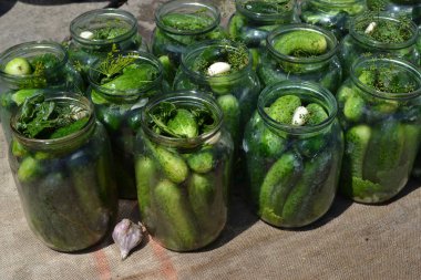 Salatalık. Ev yapımı yemek. Çok doğal. Kış için boşluklar