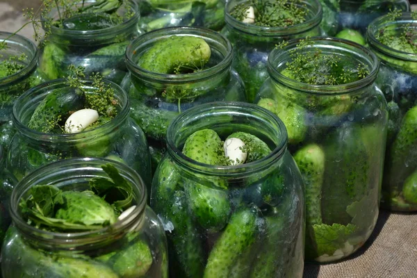 Blanks Winter Homemade Natural Village Cucumbers Jars Pepper Horizontal — Stock Photo, Image