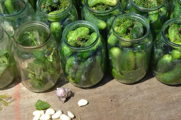 Homemade Food Natural Blanks Winter Marinated Cucumbers Jars — Stock Photo, Image