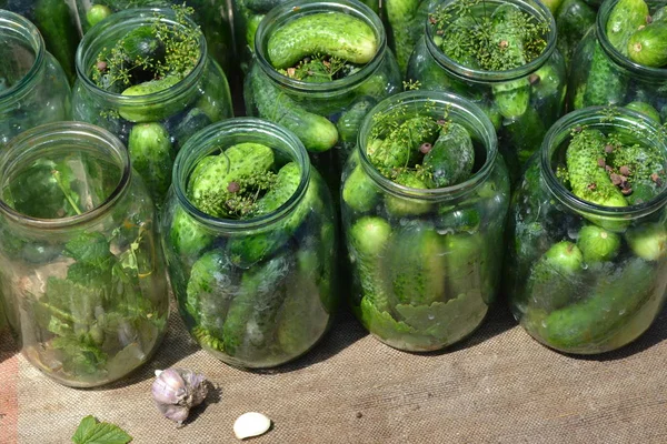 Homemade Natural Blanks Winter Marinated Cucumbers Jars — Stock Photo, Image