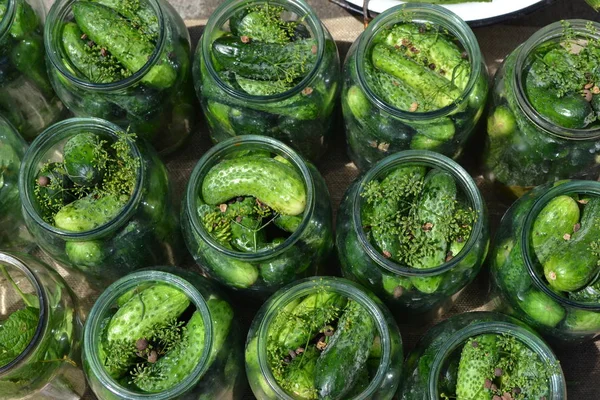 Natura Spice Marinated Cucumber Cucumbers Jars — Stock Photo, Image