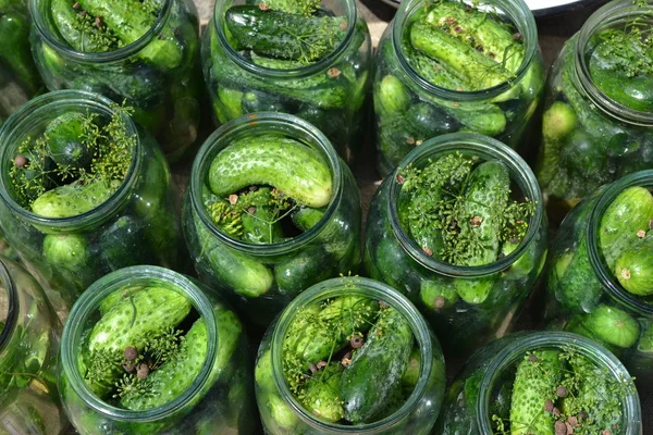 Natural Products Homemade Blanks Winter Marinated Cucumbers Jars — Stock Photo, Image