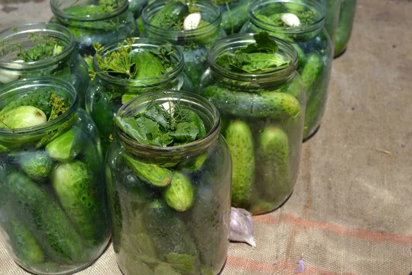 Tasty and healthy. Homemade food. Natural products from the garden. Village, cottage, farm, cellar. Preservation, Spice. Blanks for the winter. Marinated Cucumber. Cucumbers in jars. Pepper. Horizontal
