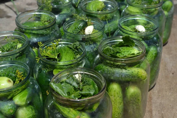 Blanks Winter Homemade Cucumbers Jars Pepper Horizontal — Stock Photo, Image