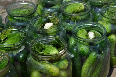 Kış için kuru sıkı. Ev yapımı. Çok doğal. Kavanozda salatalık. Biber. Yatay