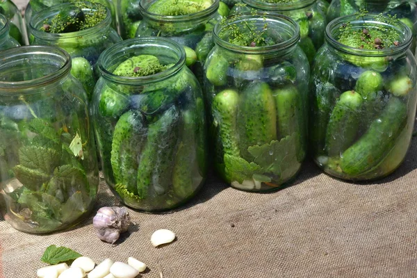 Homemade food. Natural products from the garden. Village, cottage, farm. Tasty and healthy. Preservation. Blanks for the winter. Marinated Cucumber. Cucumbers in jars