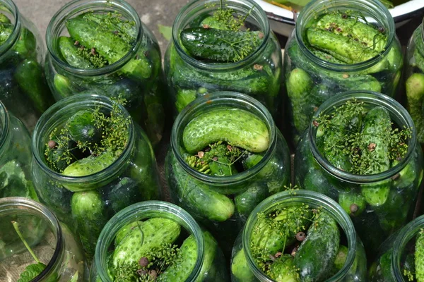 Homemade Blanks Winter Cucumbers Jars — Stock Photo, Image