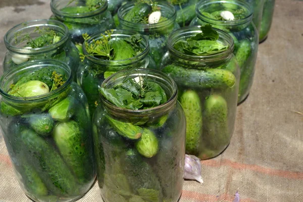Blanks Winter Cucumbers Jars Pepper Horizontal — Stock Photo, Image