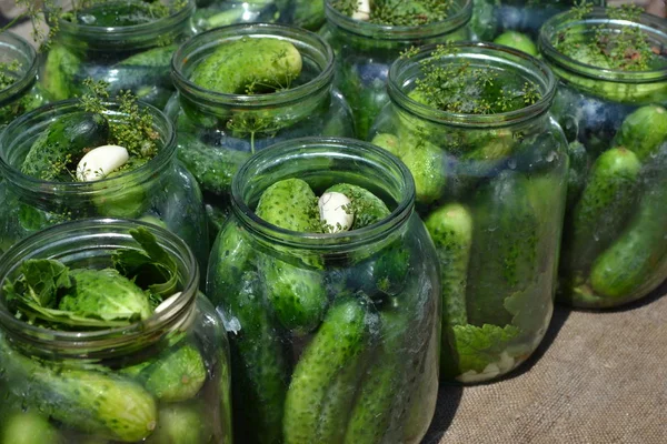 Blanks Winter Homemade Natural Products Garden Village Cucumbers Jars Pepper — Stock Photo, Image