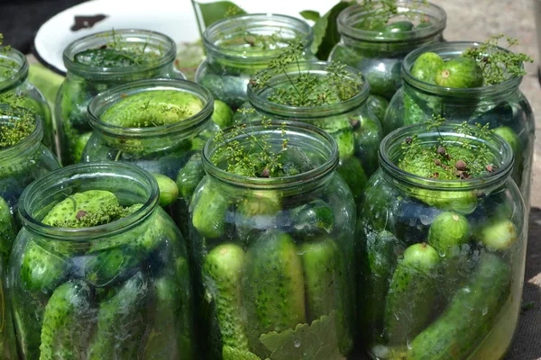Homemade food. Natural products. Tasty and healthy. Preservation. Blanks for the winter. Marinated. Cucumbers in jars — Stock Image Homemade Food Natural Products Tasty Healthy Preservation Blanks Winter Marinated Stock Photo