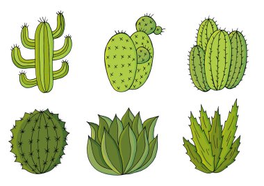 Şirin vektör çizimi. Kaktüslerin karikatür setleri. Kaktüs, aloe, yaratıcı bir koleksiyonda sulu şeyler. Pimi bastır. Dekoratif doğal elementler beyaz üzerinde izole edilir.