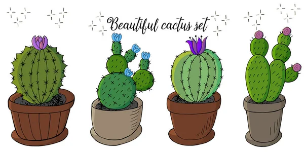 Conjunto Imágenes Dibujos Animados Cactus Macetas Flores Cáceres Aloe Suculentos — Vector de stock