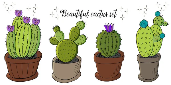 Conjunto Imágenes Dibujos Animados Cactus Macetas Flores Cáceres Aloe Suculentos — Vector de stock