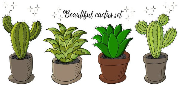 Linda Ilustración Vectorial Conjunto Imágenes Dibujos Animados Cactus Macetas Cactus — Vector de stock