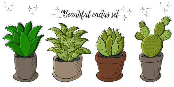 Linda Ilustración Vectorial Conjunto Imágenes Dibujos Animados Cactus Macetas Cactus — Vector de stock
