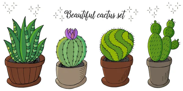 Linda Ilustración Conjunto Imágenes Dibujos Animados Cactus Macetas Cactus Aloe — Vector de stock