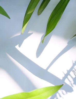 Çiçek ve yaprak kağıt kartı Not ile yapılmış yaratıcı düzeni. Düz yatıyordu. Doğa kavramı, yaprak yeşil arka plan