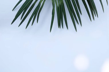 Çiçek ve yaprak kağıt kartı Not ile yapılmış yaratıcı düzeni. Düz yatıyordu. Doğa kavramı, yaprak yeşil arka plan