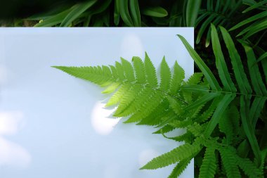 Çiçek ve yaprak kağıt kartı Not ile yapılmış yaratıcı düzeni. Düz yatıyordu. Doğa kavramı, yaprak yeşil arka plan