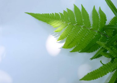 Çiçek ve yaprak kağıt kartı Not ile yapılmış yaratıcı düzeni. Düz yatıyordu. Doğa kavramı, yaprak yeşil arka plan