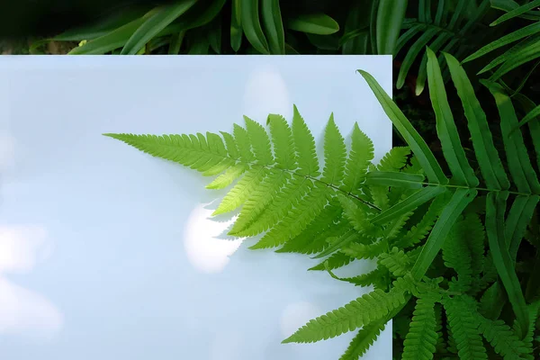 Çiçek ve yaprak kağıt kartı Not ile yapılmış yaratıcı düzeni. Düz yatıyordu. Doğa kavramı, yaprak yeşil arka plan