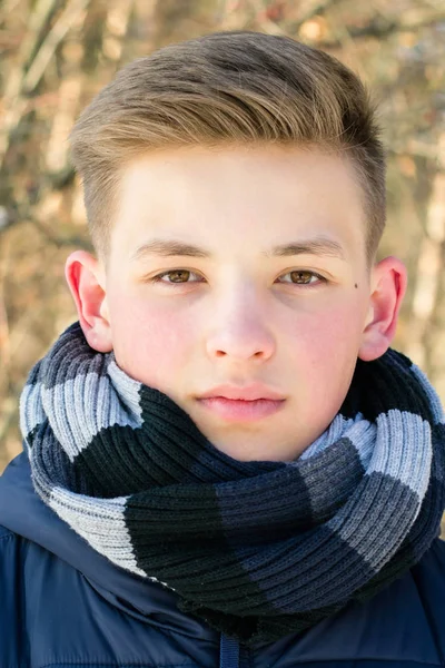 一个青少年特写的肖像 那个年轻的家伙一个冬天的时候戴着围巾的十几岁男孩 这个年轻人裹着一条围巾 图库照片