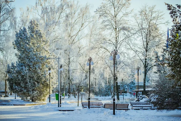 Zima Krajobraz Miasta Piękny Zimowy Krajobraz Miasta Śniegu Szron Drzewach — Zdjęcie stockowe