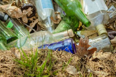 Küresel çevre felaketi. Ormanda çöp ve kırık kirli şişeler. Kirlilik ve çevre sorunları. Ağaçların arka planındaki ormandaki atık suları. Parktaki çöpler. Eski cam şişeler..
