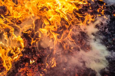 Güçlü ateş. Büyük yanan şenlik ateşi. Yanan tarlalar. Büyük bir ateş önüne çıkan her şeyi yakar. Alev alev yanan kırmızı alev. Boş bir alanda güçlü bir ateş. Ateş birleşik cephede yayılır. İç..