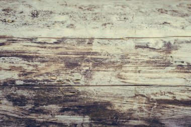 Ahşap dokular. Kahverengi gri arka plan. Kozalaklı orman. Ormanda bir ağaç. Tahtalar. Yaşlı ağaç. Metin için yer